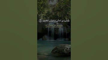 القاارىء هيثم الدخين | حالات واتس اب دينية قصيرة قران كريم تلاوة خاشعة ومؤثرة بصوت جميل جدا