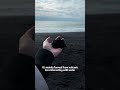 What beach is this?