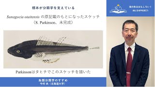 海の魚はおもしろい！
