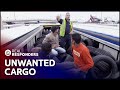 Immigration Officers Find 3 Trucks Full Of Illegal Immigrants | UK Border Force | Real Responders