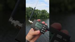 SSB radio BELKA 20m band #hamradio