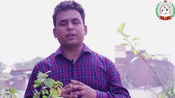 BPSC 66 Preparation in Patna | Prelims and Mains Exam| BPSC 66|Perfection IAS