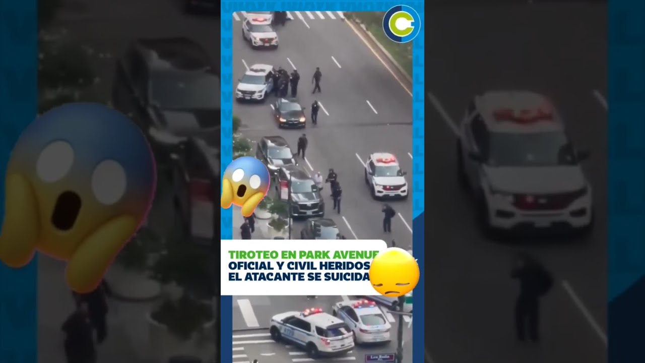 Un Atacante En New York