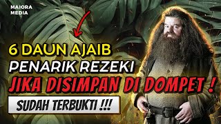 DAUN MALAIKAT MIKAIL ❗ 6 Daun Penarik Rezeki Dan Pembawa Keberuntungan , Segera Cari !!!