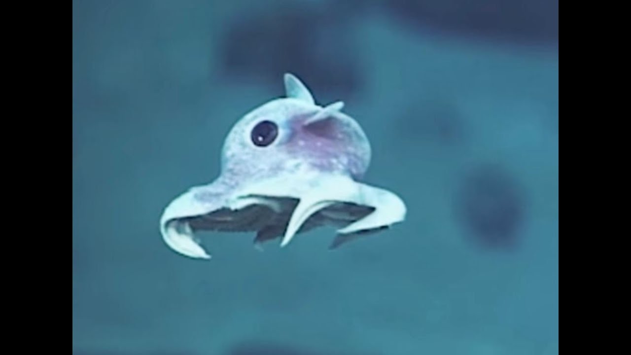 Gw2 - T6 Crafting Cheat Sheet