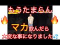 【ベベ日記】本番前に「マカ」を飲んだら、そりゃ大変なことが起きました!!!