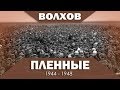 Пленные в Волхове  1944 - 1948