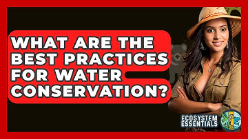 What Are the Best Practices for Water Conservation? - Ecosystem Essentials