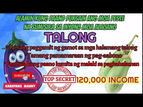 Video: Paano mag-transplant ng rosas mula sa palayok patungo sa palayok sa bahay?