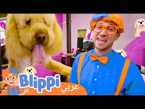 الاعتناء بالحيوانات الأليفة برنامج بليبي التعليمي بليبي بالعربي