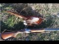 Охота на фазана в горах Кыргызстана