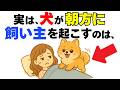 【知らないと後悔!!】犬の行動や仕草からわかる気持ちとは｜犬の厳選雑学