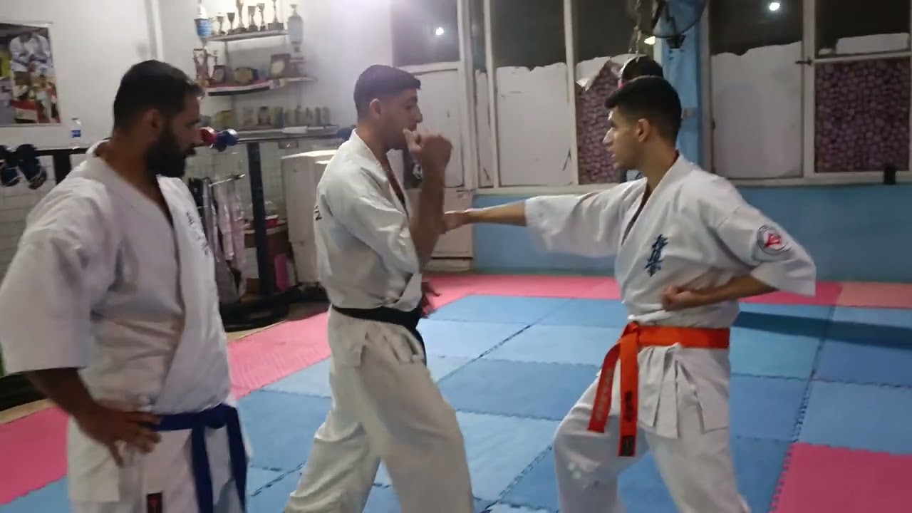 Colored belt test kyokushin iraqi bashar nageh 