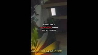 Ky Ageng Klowor Ngendang Sdanai Nangis Lagu Fatamorgana