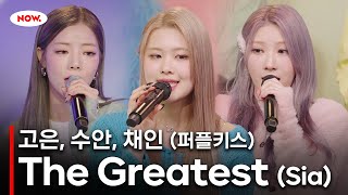 [LIVE] 퍼플키스(PURPLE KISS) 고은, 수안, 채인 - The Greatest(Sia)ㅣ네이버 NOW. Resimi