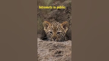 introvert comedy memes. #introvert #comedyshorts #trending #vlog