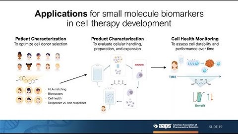 Cell & Gene Therapy Optimization, a Framework: Assessing Efficacy and Safety with Dynamic Biomarkers