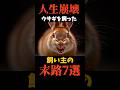 【人生崩壊】ウサギを飼って後悔する飼い主の末路7選#shorts