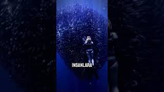 İşte Bu Yüzden Asla Açık Denize Atlamamalısınız