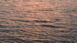 Sony HDR PJ270E sunset videos