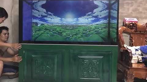 Hồ cá rồng thi công tại  nhà anh Đạt Biên Hòa - Đồng Nai