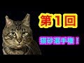 第1回　猫砂選手権