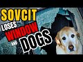 Sovcit Loses Window and Dogs