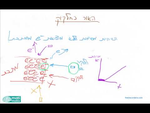 וִידֵאוֹ: אלזה איינשטיין: ביוגרפיה, קריירה, חיים אישיים