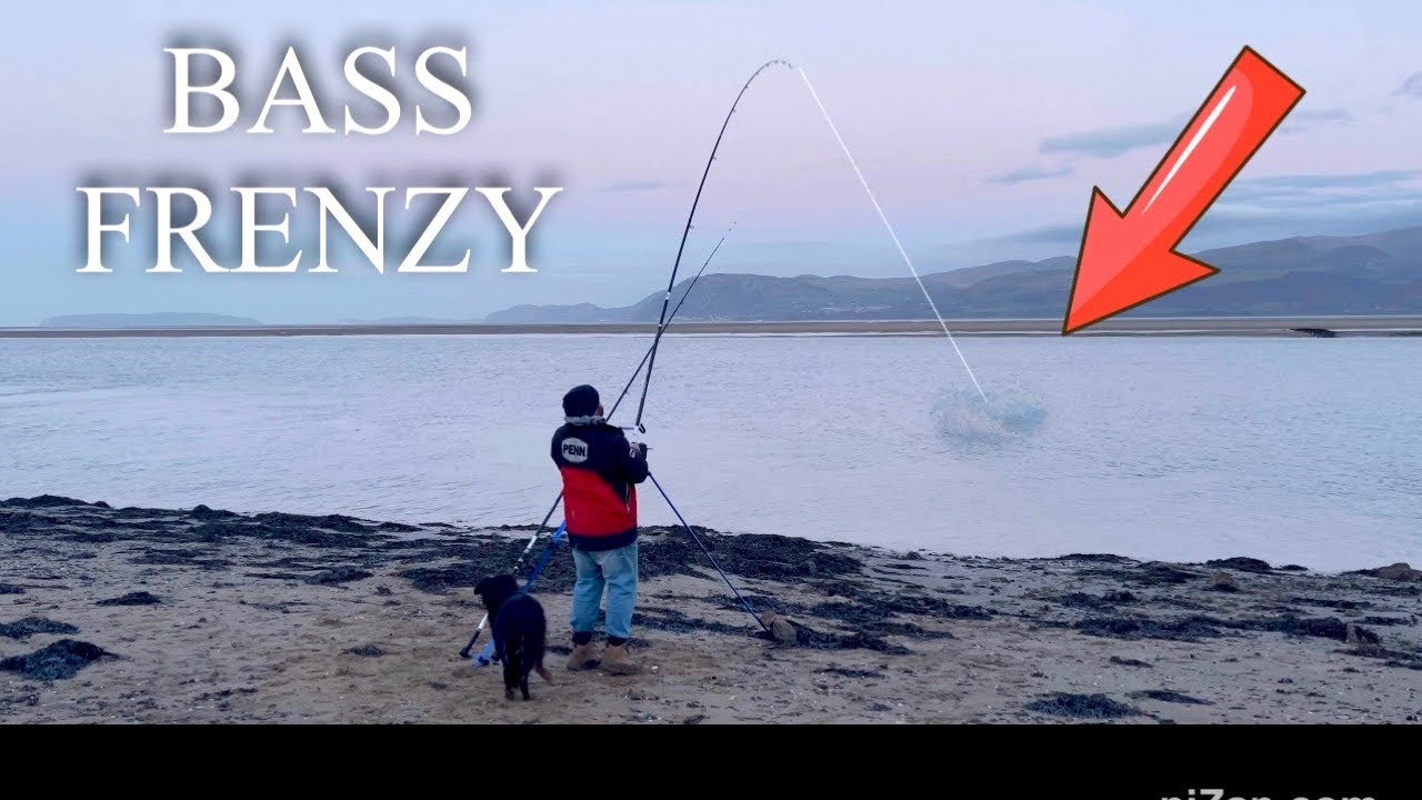 The BASS were FEEDING so HARD we RUN OUT OF BAIT! 