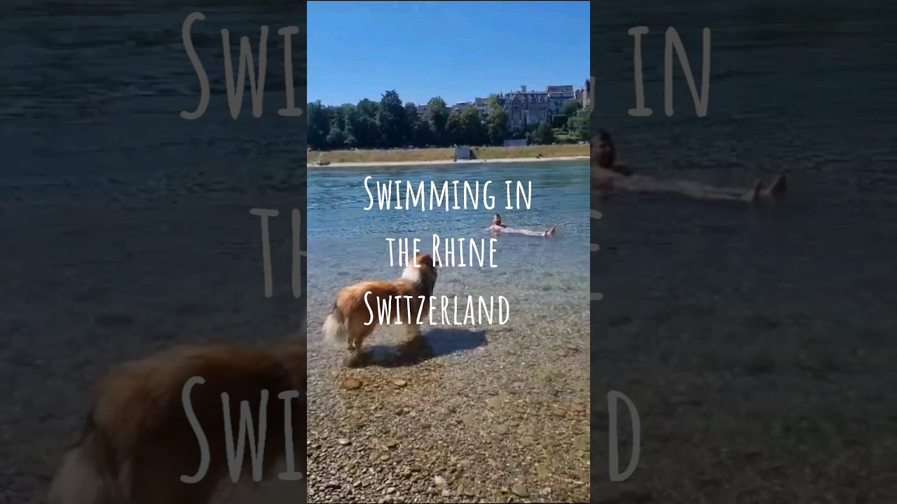 River Rhine Swimming in Basel, Switzerland + We Visit Lucerne! Our last Swiss Tiny Van Adventure 🚐