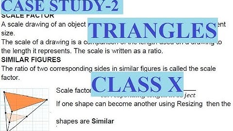 CASE STUDY QUESTION| CLASS 10 MATHS| TRIANGLES 📐