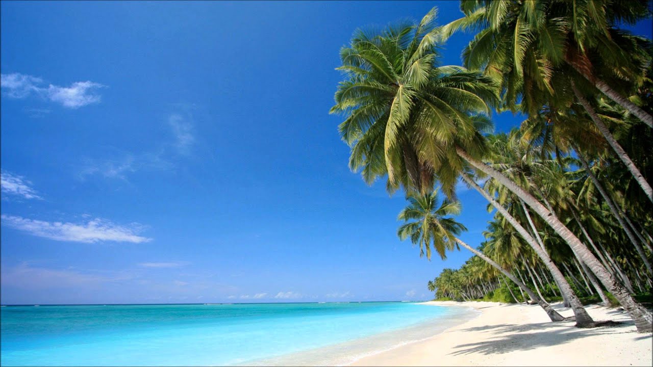 Watch Deep & Underground House Music - Perfect Beach (80 Minutes Mix - DJ DeeKaa) on YouTube Watch Deep & Underground House Music - Perfect Beach (80 Minutes Mix - DJ DeeKaa) on YouTube