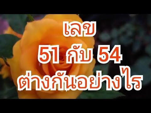 เลข 51 และ 54 ต่างกันอย่างไร, เลขมงคล, เบอร์มงคล