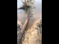 Trapping the honey hole