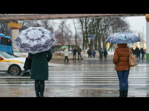 Оттепель в Москве продлится до конца недели. Воздух прогрелся до +1. Погода  в СНГ