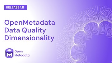 Data Quality Dimensionality (v1.11)