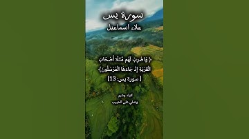 تلاوة عطرة من سورة يس #المصحف #قرآن #اكسبلور #القرآن_الكريم #راحة_نفسية #لايك #اسلاميات