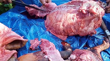 20/11 đám ma của người Jrai