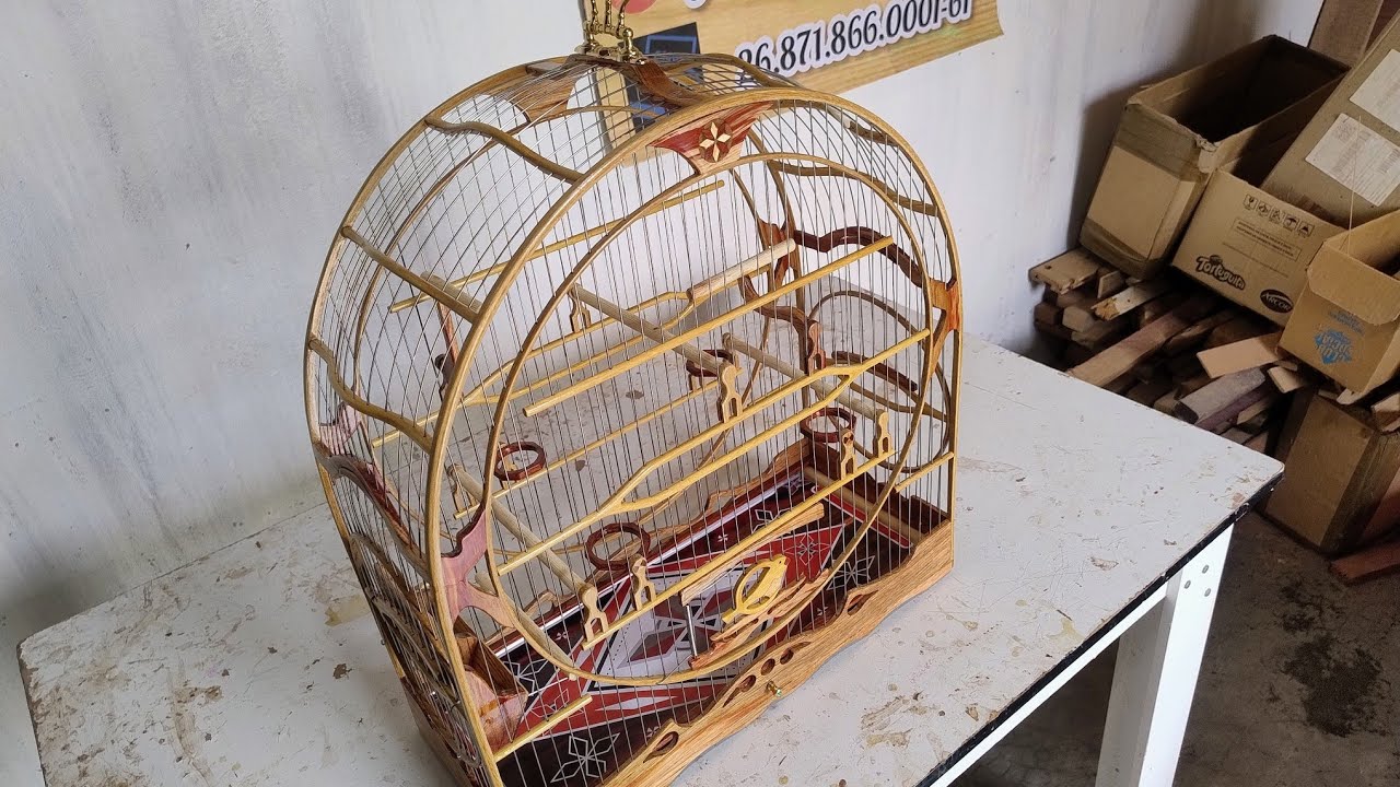 Gaiola bola de luxo número 4 WhatsApp 87998109718