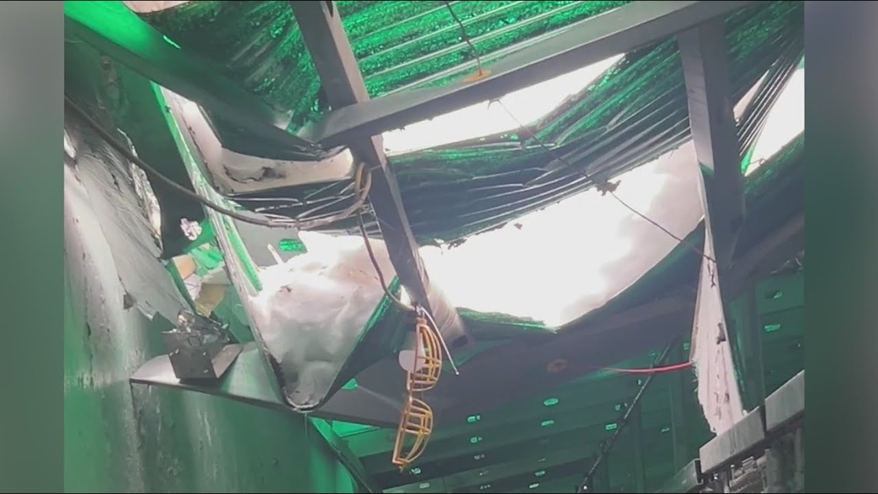 After building accident, animal shelter asks humans to foster 32 dogs