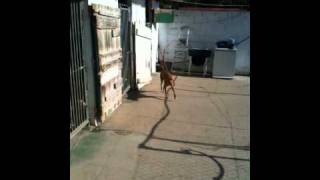IMG 0007