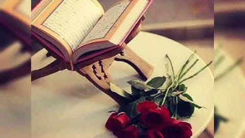 سورة النبأ القارئ المبدع شيرزاد عبد الرحمن طاهر