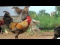 SHORT TIME OFFICIAL MUSIC VIDEO HD ORIGINAL SHORT TIME OFFICIAL MUSIC VIDEO HD ORIGINAL