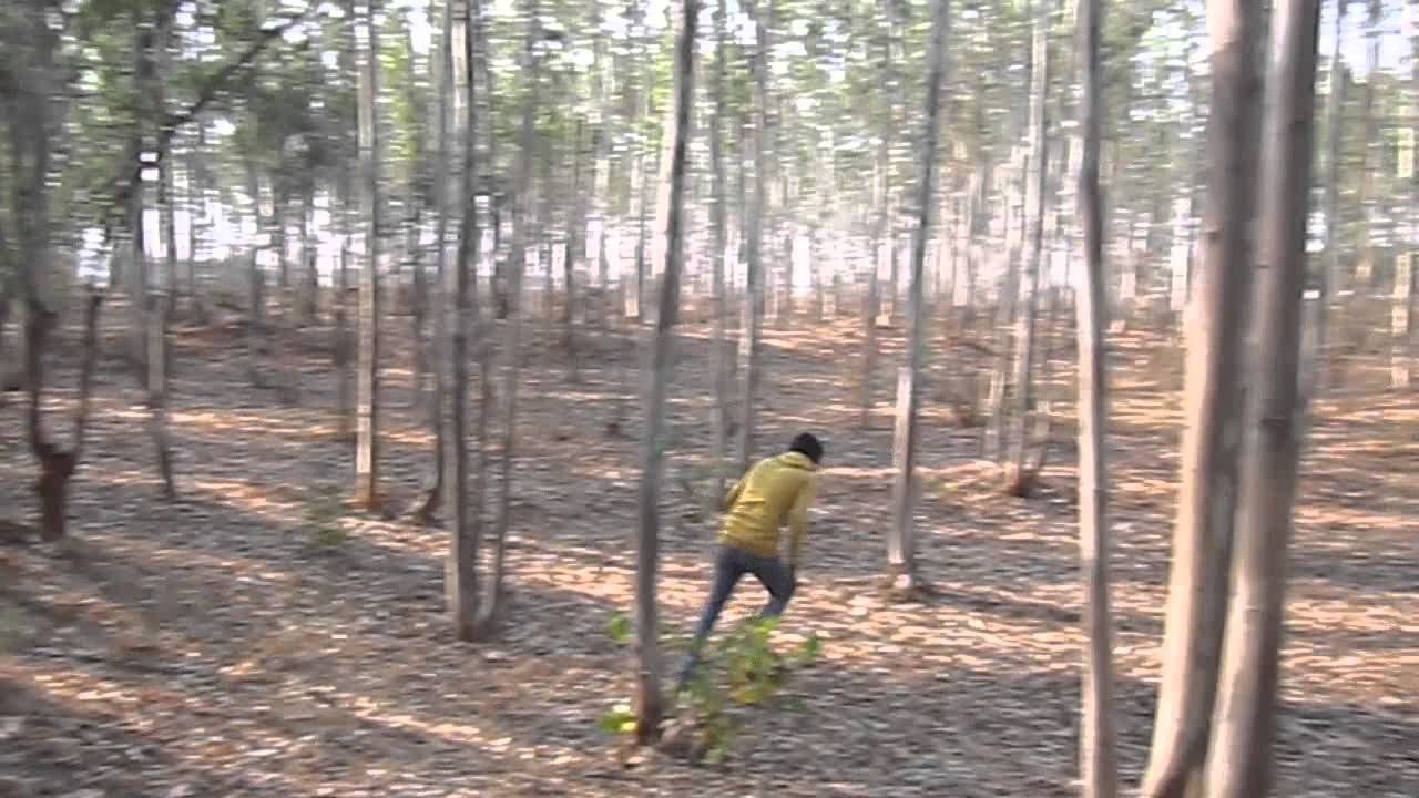 Friendship Day Teaser