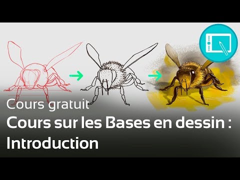 Cours sur les Bases en dessin : Introduction - [Prog 2-Ch0]