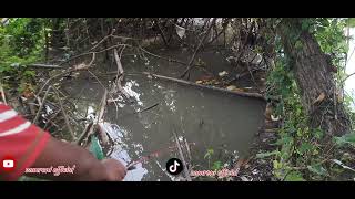 Spot Liar Yg Tersepelekan Part 9