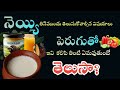 పెరుగుతో ఇవి కలిపి తింటున్నారా ?  నెయ్యి ఆరోగ్యానికి మంచిదా? చెడుదా? Watch Before You Eat!