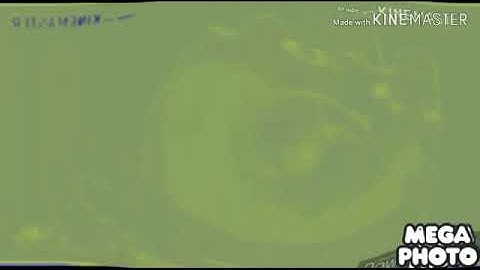 TITSTIEHE Csupo in 4ormulator V2 Render Pack Round 11 Fat