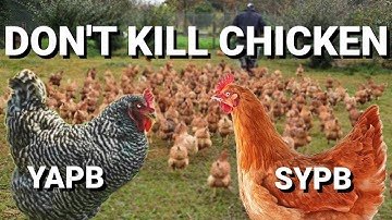 cs 1.6 waypoints SyPB + graphs YaPB - zm+public