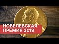 Нобелевская премия 2019. Названы лауреаты Нобелевской премии по физиологии и медицине